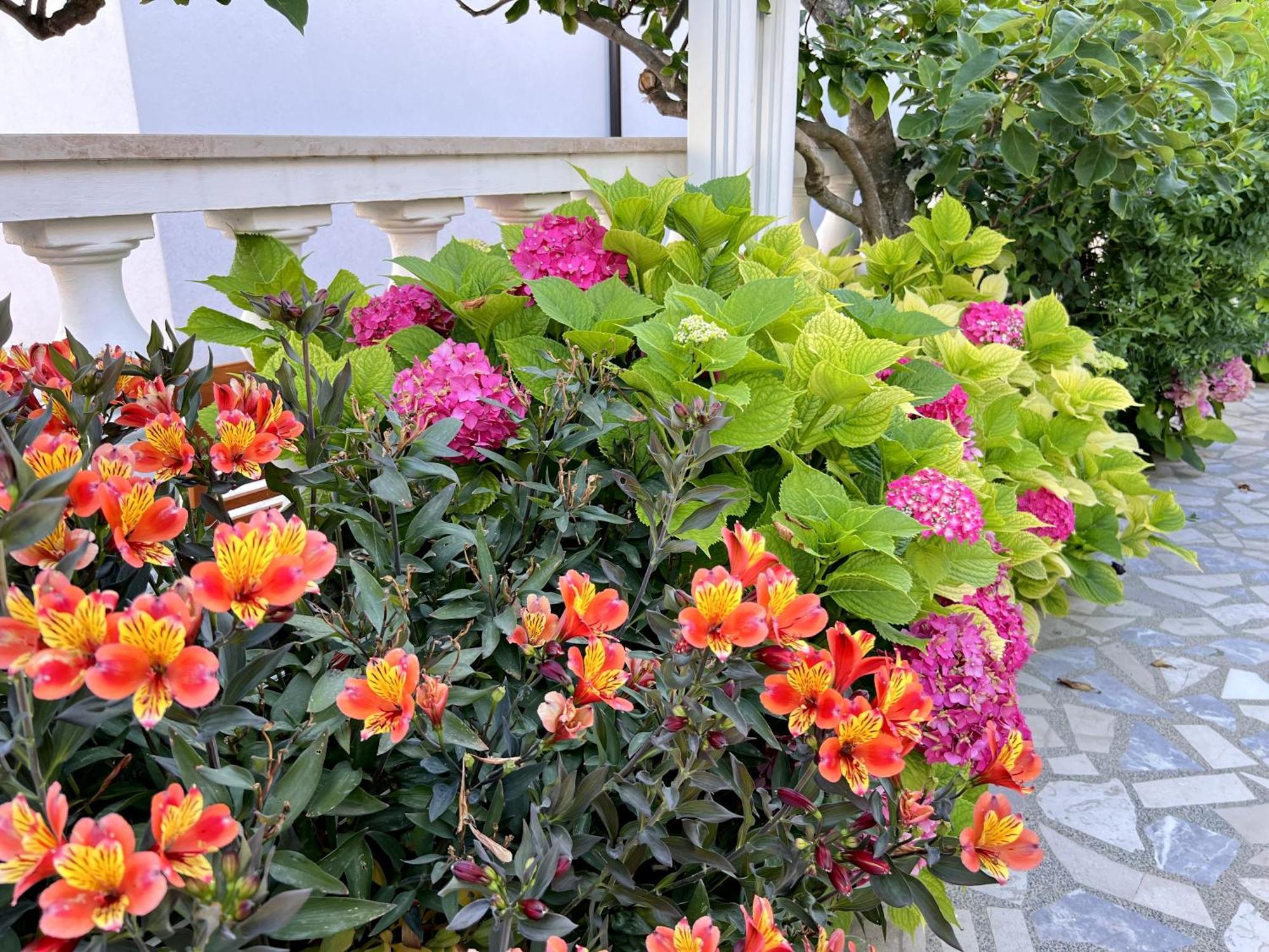 Bed & Breakfast Rab Palit Esterno foto