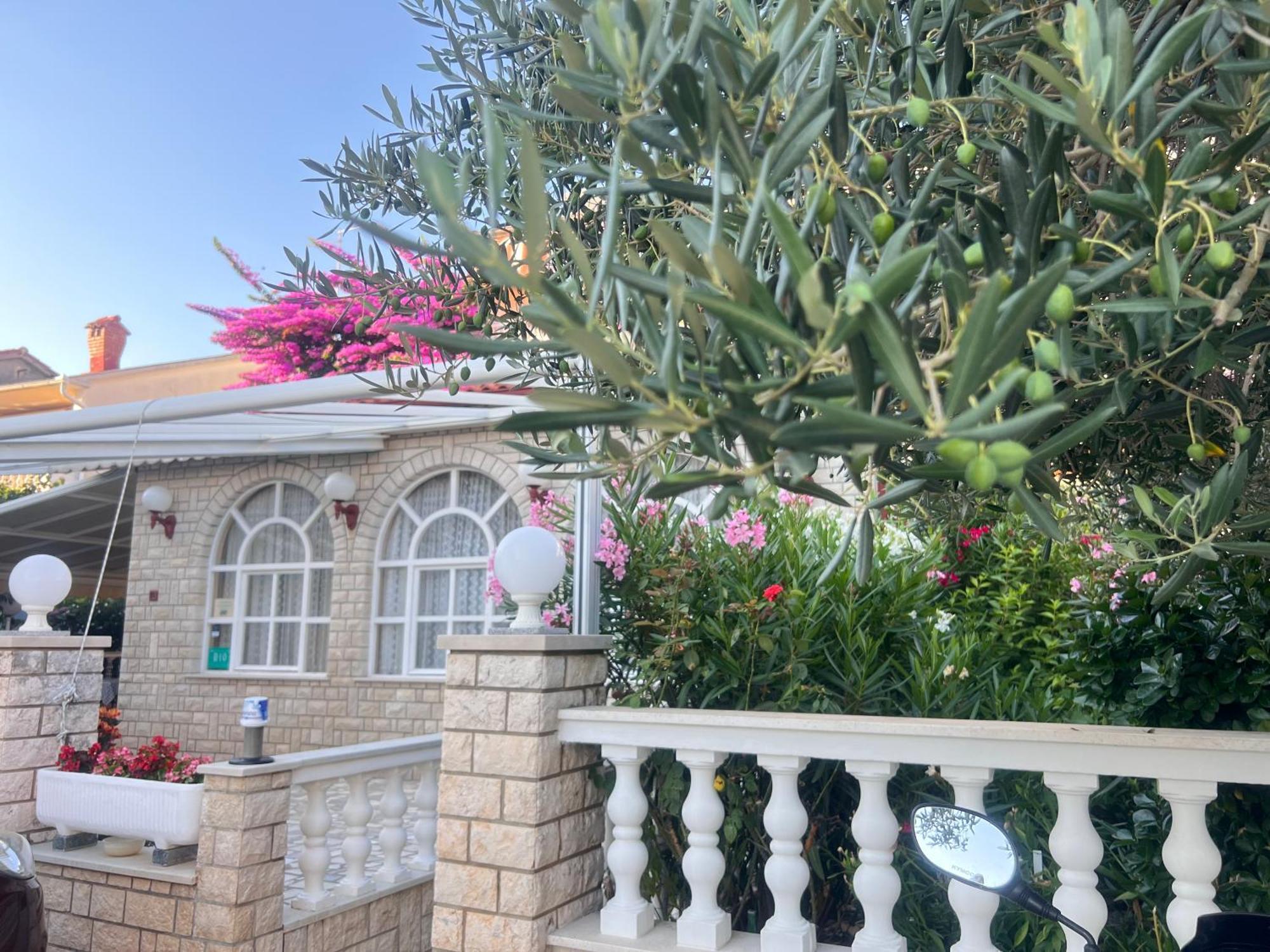 Bed & Breakfast Rab Palit Esterno foto